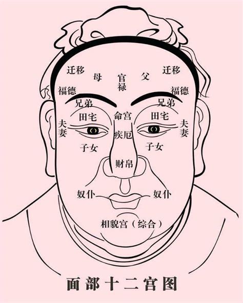 眼下紋面相|告訴你什麼是陰騭紋、陰德紋－－學佛網